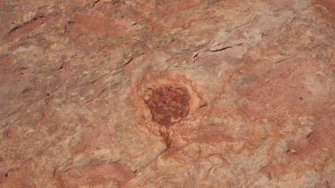 Dinosaur Egg Fossil Velociraptor Arizona Desert USA