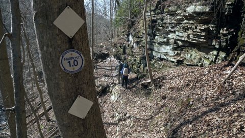 Hikers walk past tree with mile marker sign by trail in forest, 4K