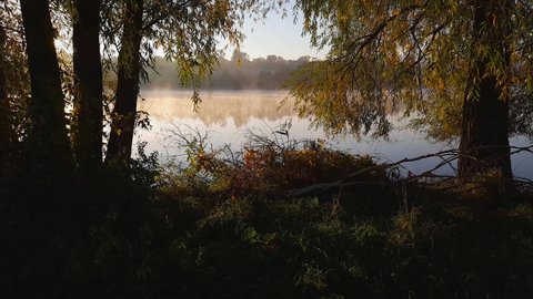 Lake with morning fog rising over the calm water, old willows growing  on a shore on a foreground at autumn 
