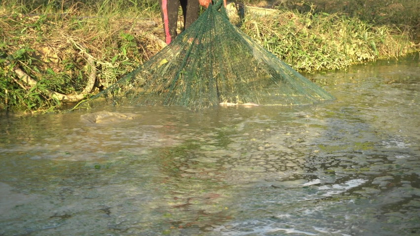 Man using net to catch catfish.