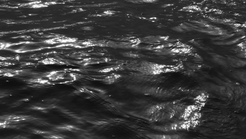 Gray scale View over calm sea or ocean. Landscapes view of endless sea water in summer evening. Black and white video slow motion full HD video. Royalty-Free Stock Footage #1085749604