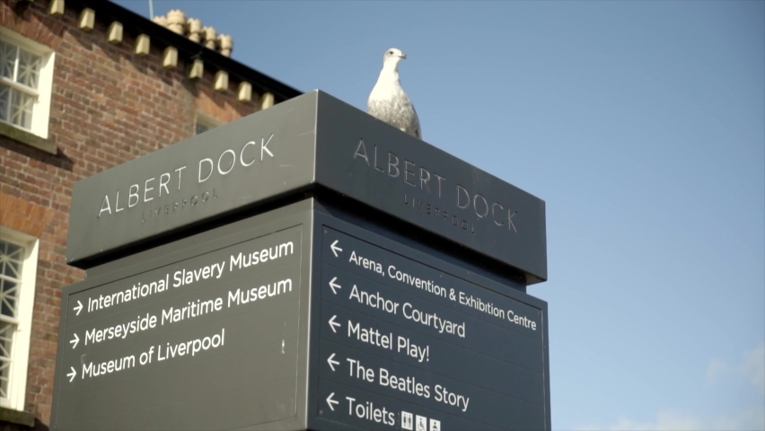 Liverpool Albert Dock Mersey Side Ferries