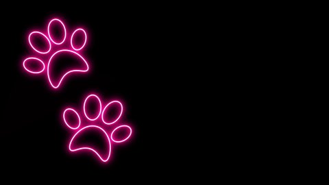 58 Dog Paw Wallpaper Stock Video Footage - 4K and HD Video Clips |  Shutterstock