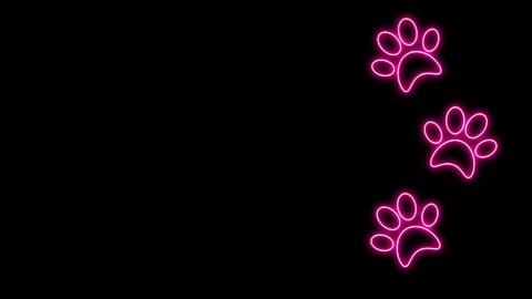 58 Dog Paw Wallpaper Stock Video Footage - 4K and HD Video Clips | Shutterstock 58 Dog Paw Wallpaper Stock Video Footage - 4K and HD Video Clips | Shutterstock
