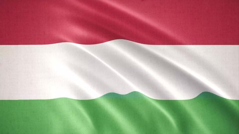Realistic waving flag of Hungary,  flag background animation