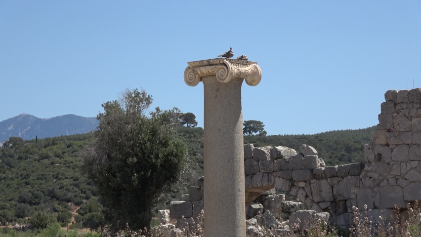 Patara, Turkey - 26th of May 2021: 4K Patara ruins and pigeons on ancient column
