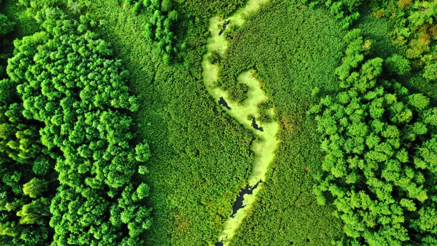 Stunning river and green algae in summer. Aerial view of wildlife in Poland, Europe Royalty-Free Stock Footage #1085786570