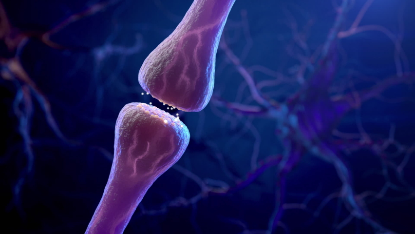 Synapse and Neuron cells sending electrical chemical signals . 3D animation Royalty-Free Stock Footage #1085787677