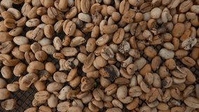 4K video of coffee beans macro caffeine beverage making