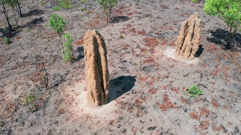 Aerial view of Termite mound in northern Australia. Dry hot desert climate