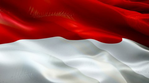 Indonesia flag. National 3d Indonesia flag waving. Sign of Indonesian seamless loop animation. Indonesia flag HD Background. Indonesian flag Closeup 1080p Full HD video for presentation. Indonesian 