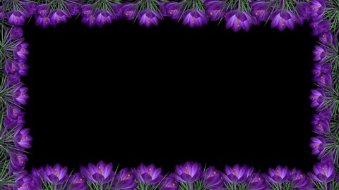 15 Flowers Slideshow Presentation Stock Video Footage - 4K and HD Video  Clips | Shutterstock