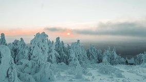 winter time lapse sunset snow covered tree