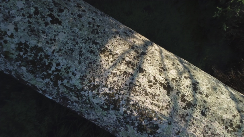 Aerial view of the Monolith of Algajola. A large granite column measuring 17.36m by 2.74m cut in 1837 to be used for a statue of Napoleon 1st but could not be transported to Ajaccio