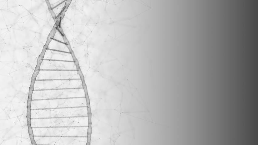 Dna helix genome testing in scientific laboratory. Gene spiral sequence rotating on the white background with plexus rna chromosome. Human code chain programming in the dna strand, loop 3d animation. - Powered by Shutterstock - Get 15% off with code: PIKWIZARD15
