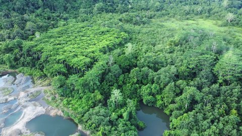 Aerial video of tropical forest, Aceh, Indonesia.