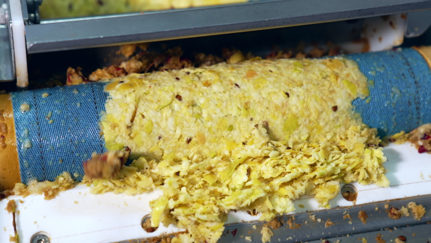 Freshly squeezed apples pushed by the shaft of machine. Crushed fruit ready to be squeezed forgetting organic juice. Close up.