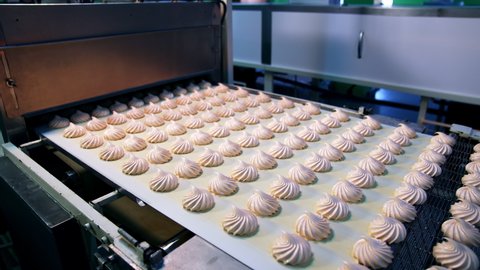 Automated conveyor line with white beautiful candies. Marshmallow sweets put in rows on the conveyor belt of modern confectionery.
