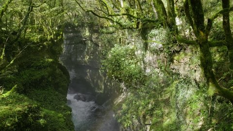 Martvili canyon in Georgia. Beautiful nature scene with deep green canyon and waterfall with a rainbow. Beautiful natural kanyon near Kutaisi city. Nature landscape. Steadicam footage