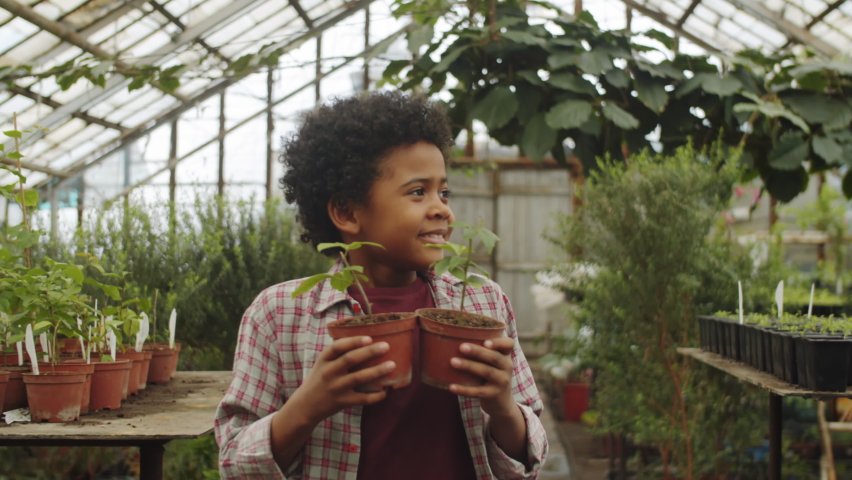 Cheerful African American boy bringing plants and helping mother while working with family in greenhouse farm Royalty-Free Stock Footage #1085856458