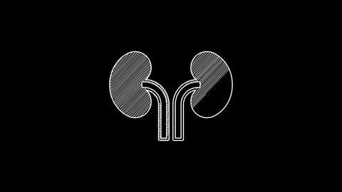 White line Human kidneys icon isolated on black background. 4K Video motion graphic animation.