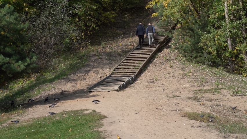Two men climb a wooden ladder up a hill in a city park (114)