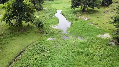 Flyover plant covered stream river waterway, living, vibrant ecosystem in remote wilderness of Ira Lalaro landscape, Timor Leste, aerial drone flight