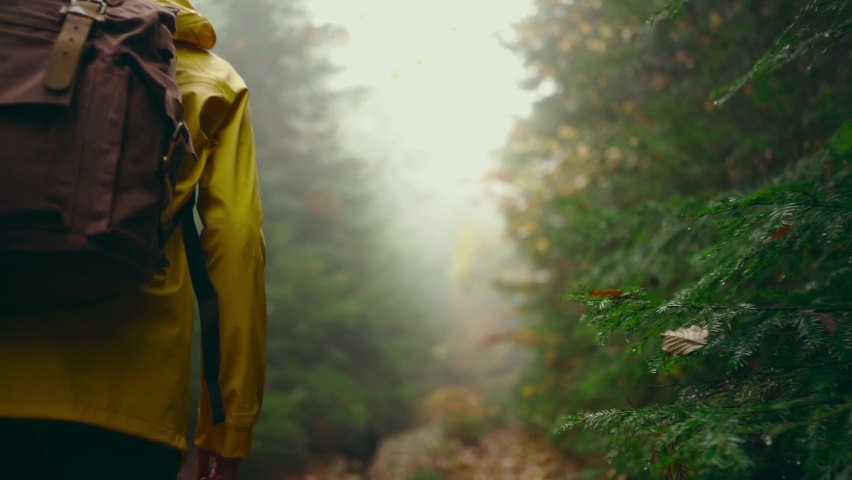 slow motion Rear view: Woman tourist in bright yellow wear with backpack walking hiking trail in the fall forest on a foggy autumn day, weekend one day tour hike outdoors.