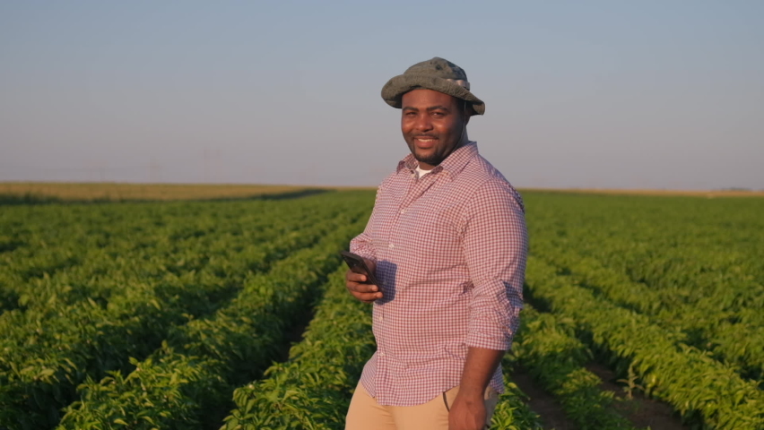 Farmer is standing in his growing pepper field. He is satisfied because of good progress of plants.