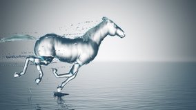 Water horse gallops through the water with splashes, slow motion - Powered by Shutterstock - Get 15% off with code: PIKWIZARD15