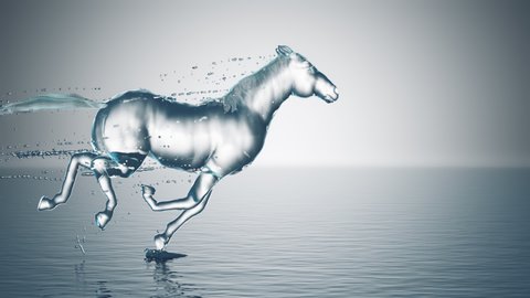 Water horse gallops through the water with splashes, slow motion