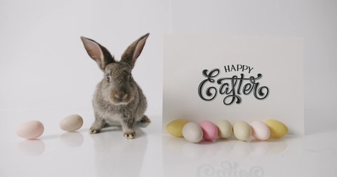 A little Rabbit is playing with the inscription Happy Easter. With many eggs 