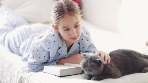 Girl strokes a grey cat while reading a book. Cute white cat lies next to a child reading a book and taking time to a pet. A fluffy grey cat kisses its owner while sitting in her arms.