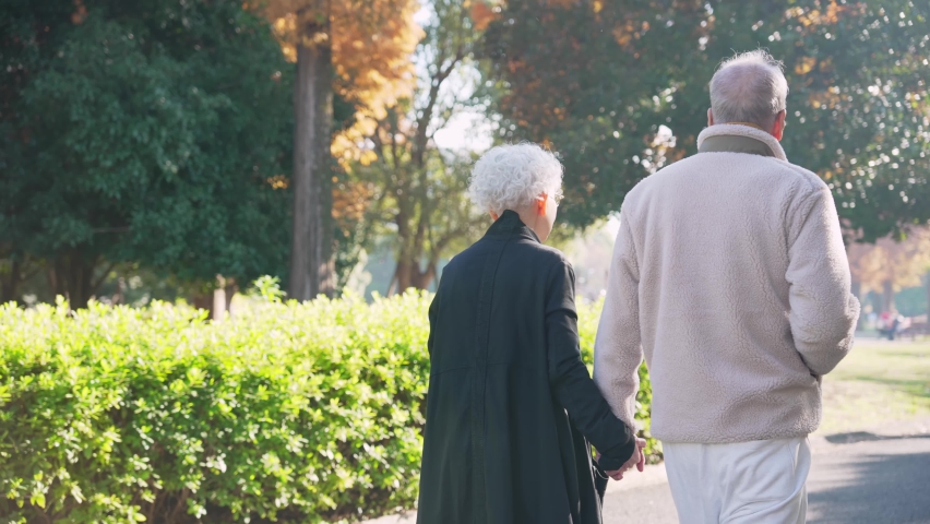 Asian elderly couple walking in the park. Second life.
