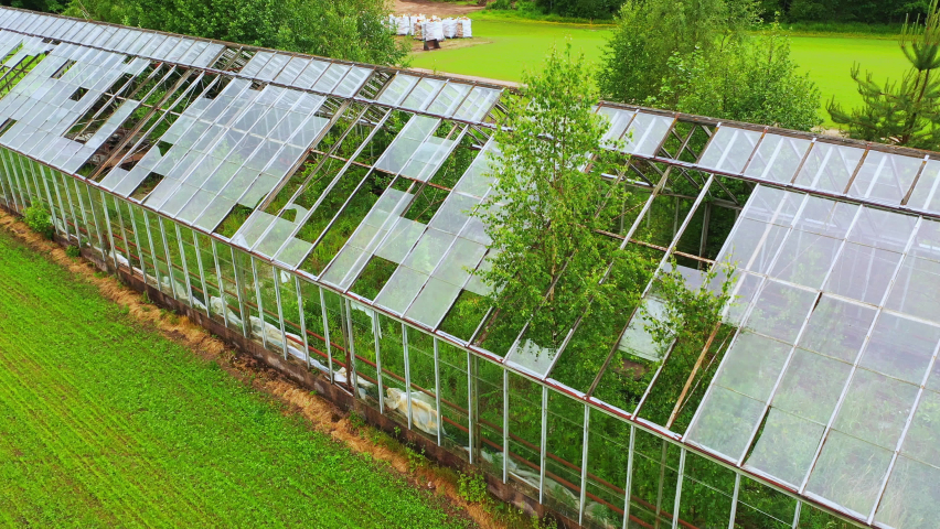 Aerial view close to a damaged glasshouse with broken windows and trees growing through - tracking, drone shot Royalty-Free Stock Footage #1085938901