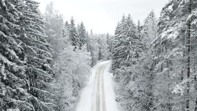 Snowy road in the forest top view . Winter landscape. Snowy day. Video from a quadrocopter. Winter 4K. Journey