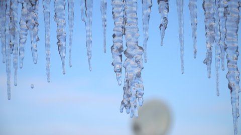 Dripping icicles on a blue background, nature or weather background.
