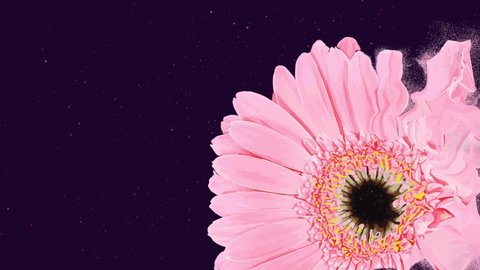 Animation of a gerbera flower from moving particles on a dark background