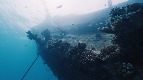 Freediver swims underwater near the shipwreck in Maldives