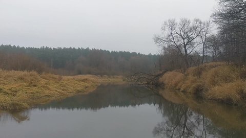 The boat drifts slowly down an old river bed, with tall grass, bushes, and trees on the banks. One tree has fallen into the water. The forest is reflected in the calm water. Cloudy