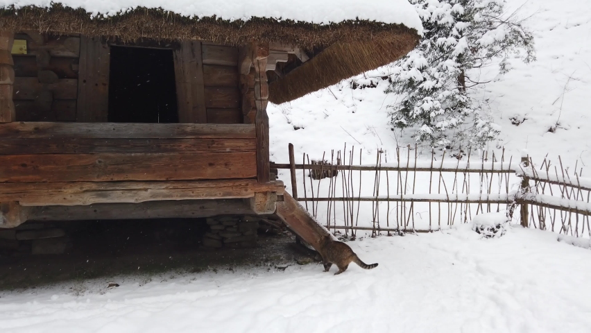 Old Ukrainian traditional vintage village. Elements of architecture. L