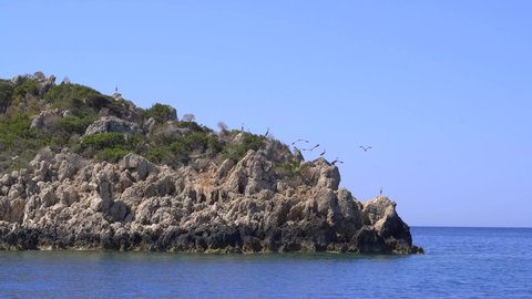 4K.Heron seabirds on rocky island.Small islet island formed by the accumulation of rock deposits atop a reef.Islette isle cay key broken atoll uninhabited landform offshore stack thin jutting water