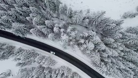 Aerial top down shot of white car drives along the road in winter snowy forest. Traveling by car in winter, driving in bad weather - Powered by Shutterstock - Get 15% off with code: PIKWIZARD15