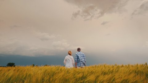 Two farmers - a man and a woman look at a wheat field, view from behind. Wide shot