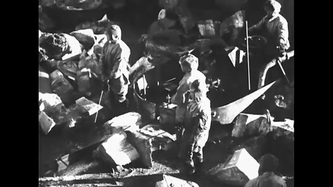 CIRCA 1947 - Japanese whalers use a power saw to cut through the meat and bone of a whale carcass.