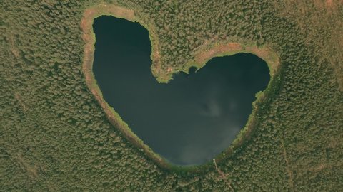Zoom out drone shot of heart shaped lake in estonia. Lake in the middle of green forest. 