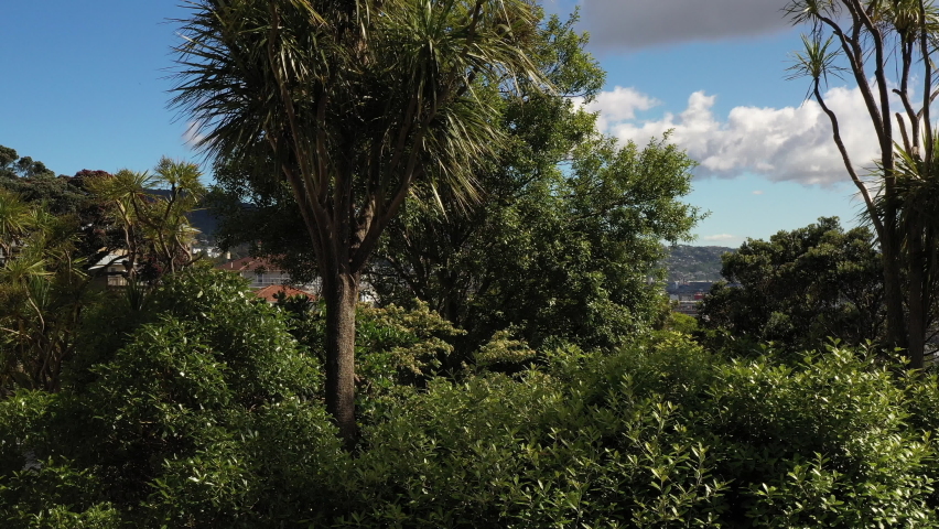 Drone, aerial shots. Wellington, capital of New Zealand, North Island