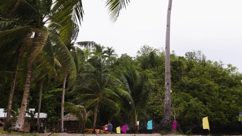 Coconut Trees And Colorful Buntings Blown By The Wind At The Beach In The Philippines. wide