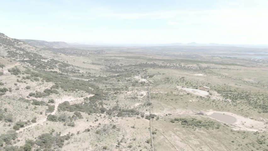 desert Coahuila trees sky field