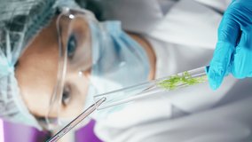Vertical video of medical scientist inspecting microgreens, working in laboratory. Food research, genetic Modifications of Product. Microbiologist analyzing lab-grown greenery plants.